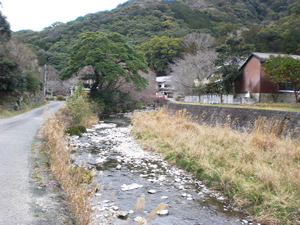 猪野川